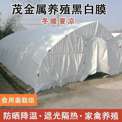 防老防晒养殖pe加厚薄膜黑白隔热膜膜反光塑料膜塑料食用菌大棚化