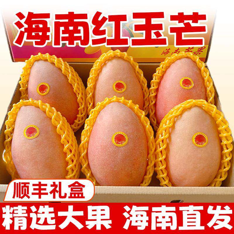 海南特产红玉芒三亚红色芒果当季新鲜水果特大果爱文10斤顺丰礼盒