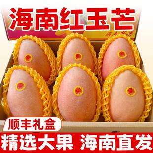 海南特产红玉芒三亚红色芒果当季新鲜水果特大果爱文10斤顺丰礼盒