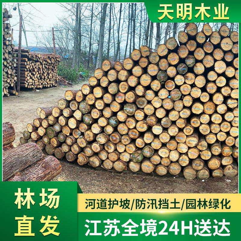 杉木原木桩户外河道驳岸实木打桩木堤坝防汛木桩落叶松圆木桩