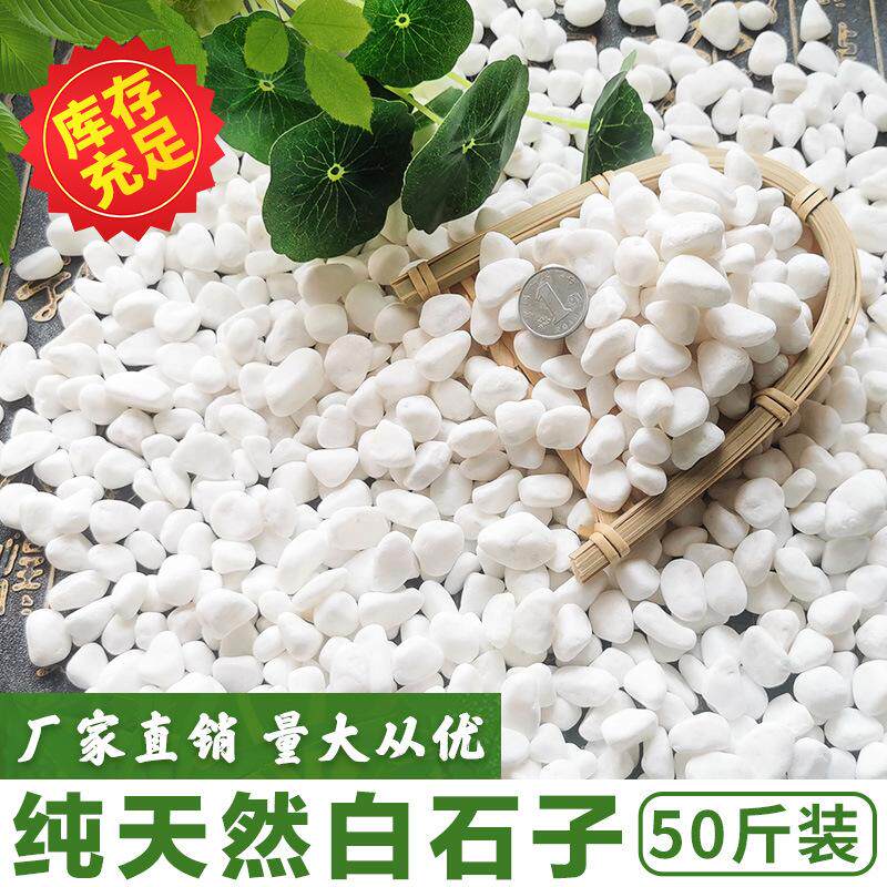 义乌天然白色石子石头大鹅卵石鱼缸铺底花盆铺面水族造景装饰用小
