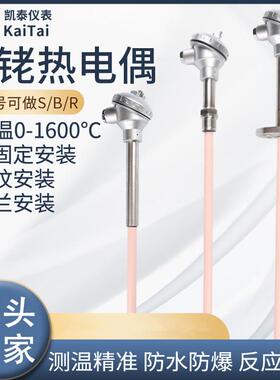 高温S型铂铑热电偶耐高温WRP-130刚玉护套B型铂铑丝高温炉热电偶