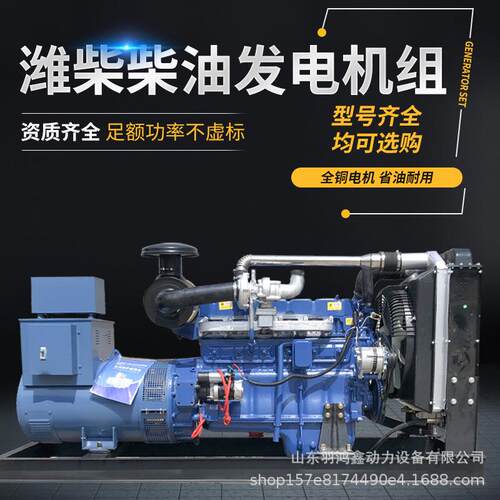应急柴油发电机组100kw200千瓦无刷三相300千瓦养殖消防工地