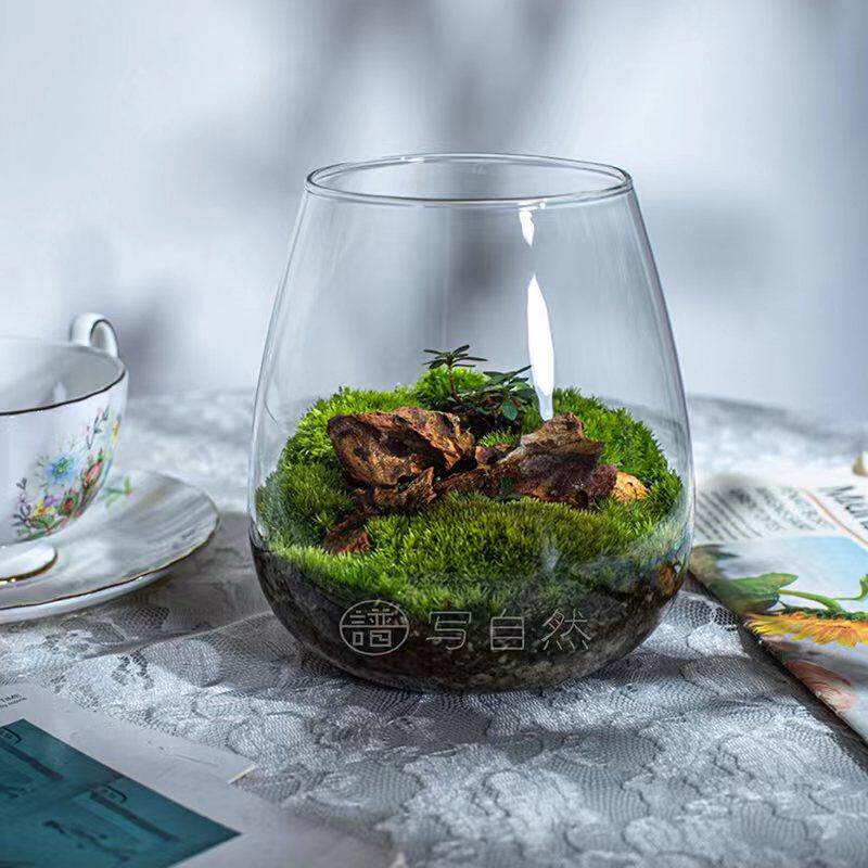 苔藓植物微景观瓶玻璃生态瓶办公桌面创意绿植摆件 DIY玻璃景观瓶