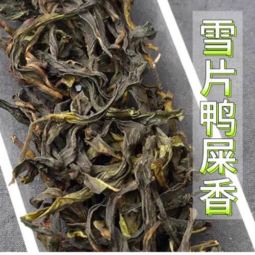 雪片鸭屎香凤凰单丛茶特级单从茶广东潮州凤凰单丛茶乌龙茶叶500g