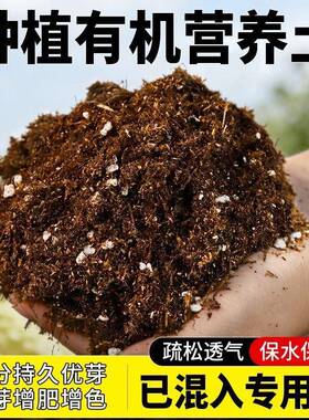 营养土通用型养花种菜专用土盆栽泥炭腐殖土壤家用花土植物营养土