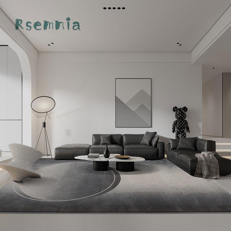 Rsemnia轻奢地毯客厅简约现代北欧风极简黑灰耐脏别墅茶几毯地垫
