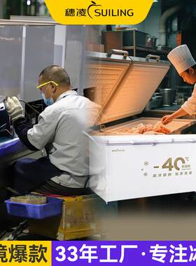 穗凌现货冰柜单温商业用可冷冻冷藏卧式冰箱商用冷冻柜