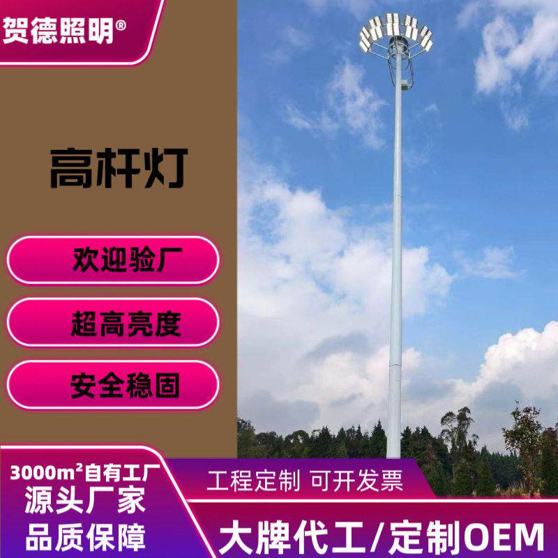 定制LED杆灯太阳能球场灯8米10米15米20米40米固定式升降式厂家