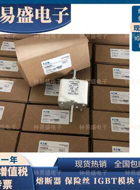BUSSMANN低压熔丝170M6081 400A 690V巴斯曼高速熔断器