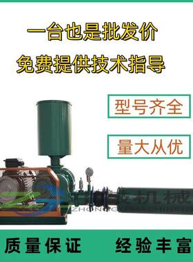 风机三叶罗茨鼓风机11kw污水处理水产养殖罗茨鼓风机曝 气风机