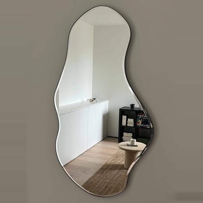 网红超白湖泊异形设计感全身镜挂墙不规则壁挂玄关入户全身镜子