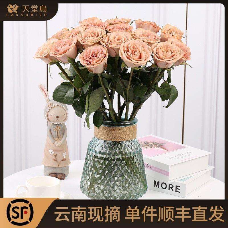 优选复古卡布奇诺玫瑰花鲜花云南直发向日葵花束插花真花鲜切花