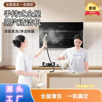 手持蒸温汽清洁机小家用高型KLL高压空调厨房油烟消毒器多机功能