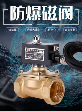 防爆电磁阀 燃气 瓦斯 瓦斯瓦斯220v电磁控制阀24v常闭气阀4分