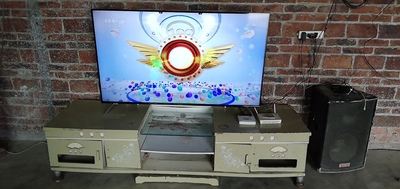 评价揭秘长虹55A4U与55D4P哪款好用？？使用差别大不大