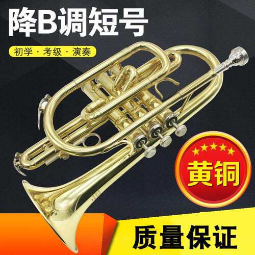 bB调 降B调 短号 小号 铜管乐器 专业级短号