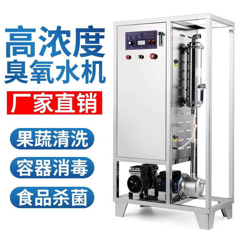 现货高浓度臭氧水机一体化消毒机食品厂杀菌水处理臭氧发生器厂家