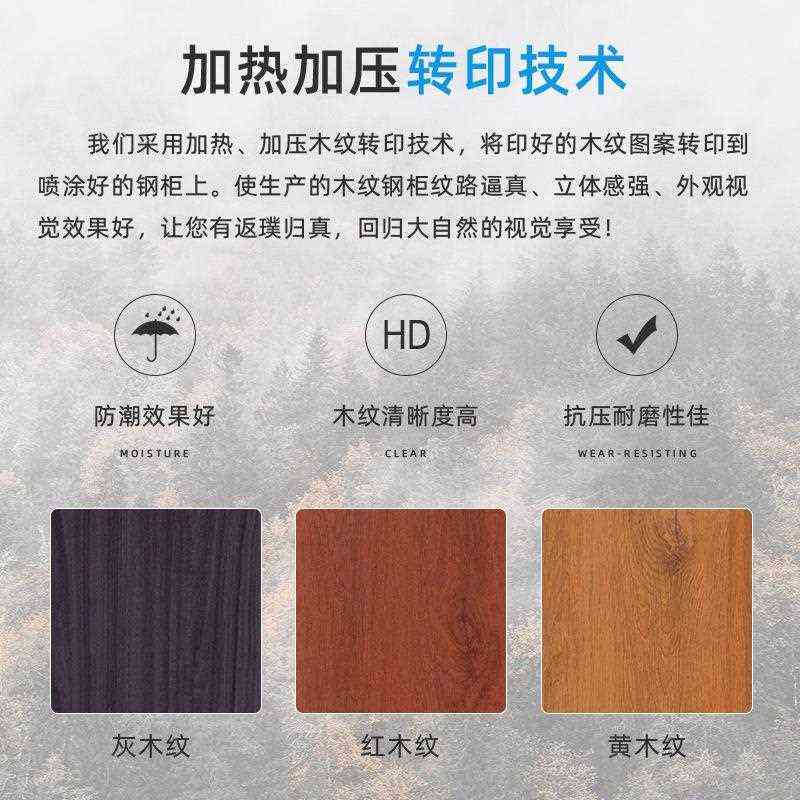 新款直销转印木纹更衣柜四门六门加厚铁皮员工宿舍浴室储物柜拆装