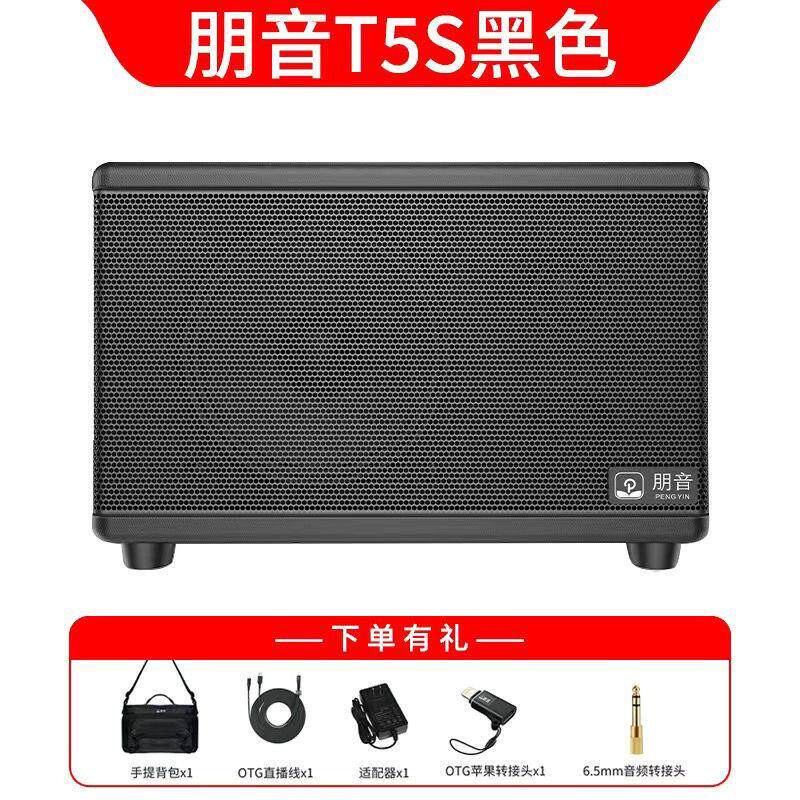朋音T5S音箱充电便携户外直播演出电吹管娱乐吉他弹唱萨克斯乐器