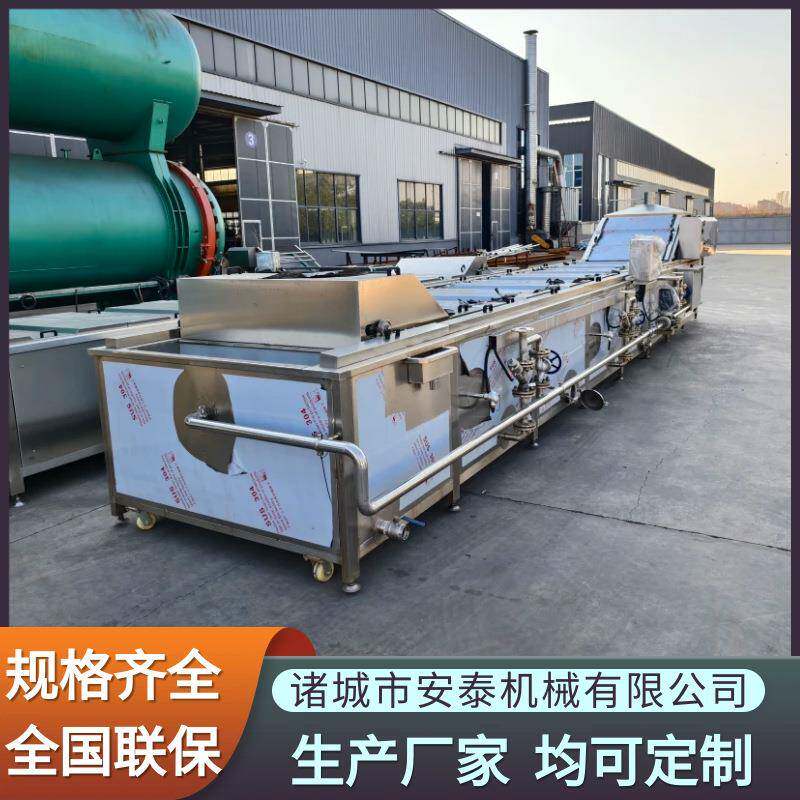 桑叶气泡清洗杀青机百香果热水杀青机芒果加工全自动蒸煮设备