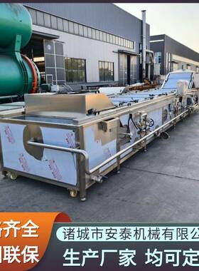 桑叶气泡清洗杀青机百香果热水杀青机芒果加工全自动蒸煮设备