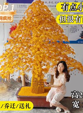 2.5米高大型发财树落地高端商务公司开业酒店大厅别墅手工摆件