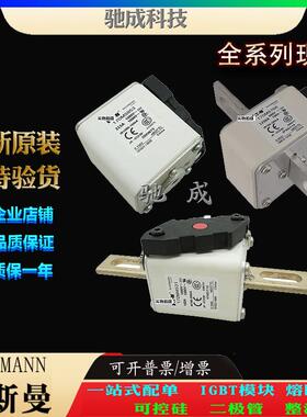 巴斯曼170M6919 170M6920 170M6921 厂家供货销售 快速熔断器