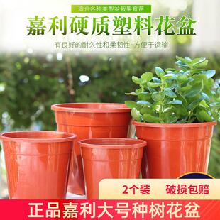 天津嘉丽树脂花盆塑料大花盆加厚Clivia苗木花盆栽植花盆控根花盆