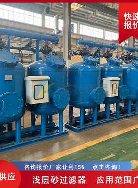 供货电厂循环水浅层介质过滤器进出口管径DN50两罐并联