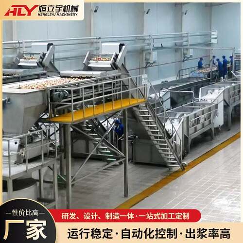 桑葚打浆榨汁设备黑莓蓝莓树莓草莓原浆果汁加工设备
