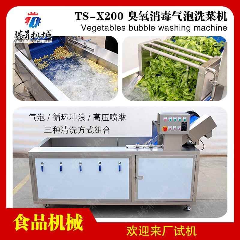 厂家供应粽叶清洗机果蔬气泡清洗机桔子橙子苹果洗果机