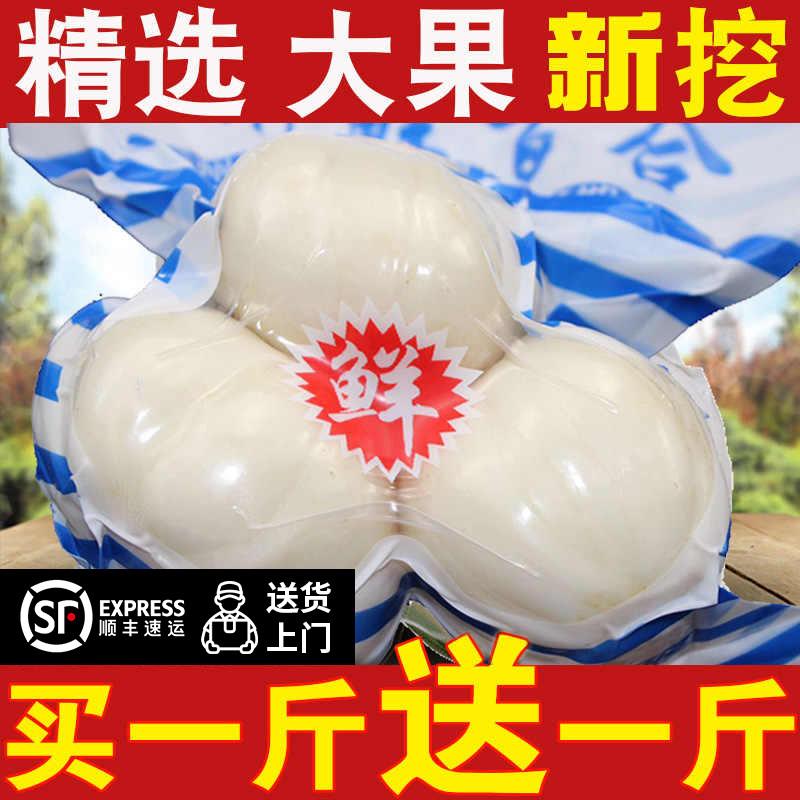 甘肃兰州百合新鲜甜百合三头皇500g纯食用农家天然特产非特级干货