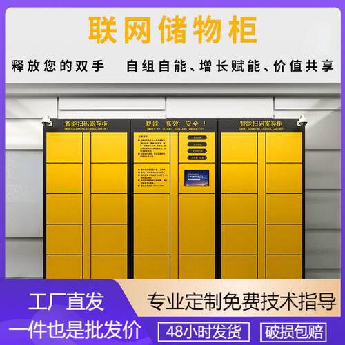 车站行李寄存柜景区酒店机场柜现代简约智能微信联网收费存包柜