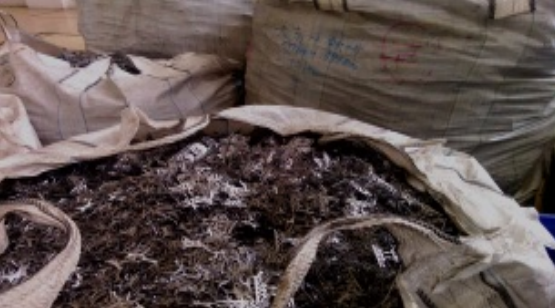 1月19日珠海物料一批网络拍卖公告