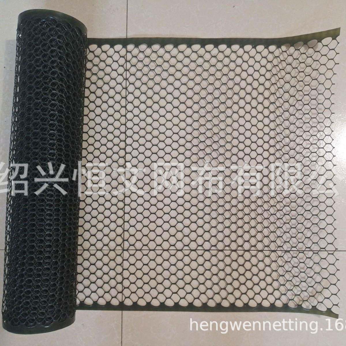 塑料六角网黑色塑料防护网封窗阳台网围栏猫咪安全网防坠护栏网