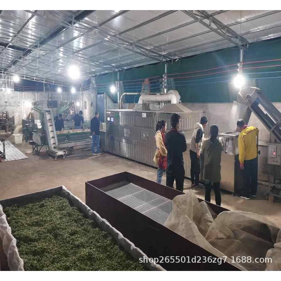 广州隧道式微波烘干设备微波菊花花茶绿茶烘干杀青机