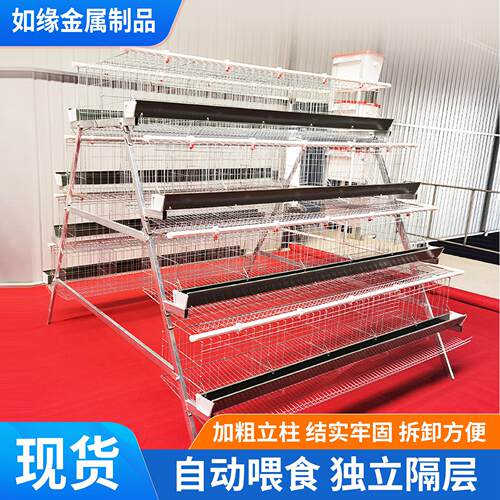 阶梯蛋鸡笼多层阶梯式鸡笼鸡舍养殖场蛋鸡笼加粗加密冷镀锌鸡笼