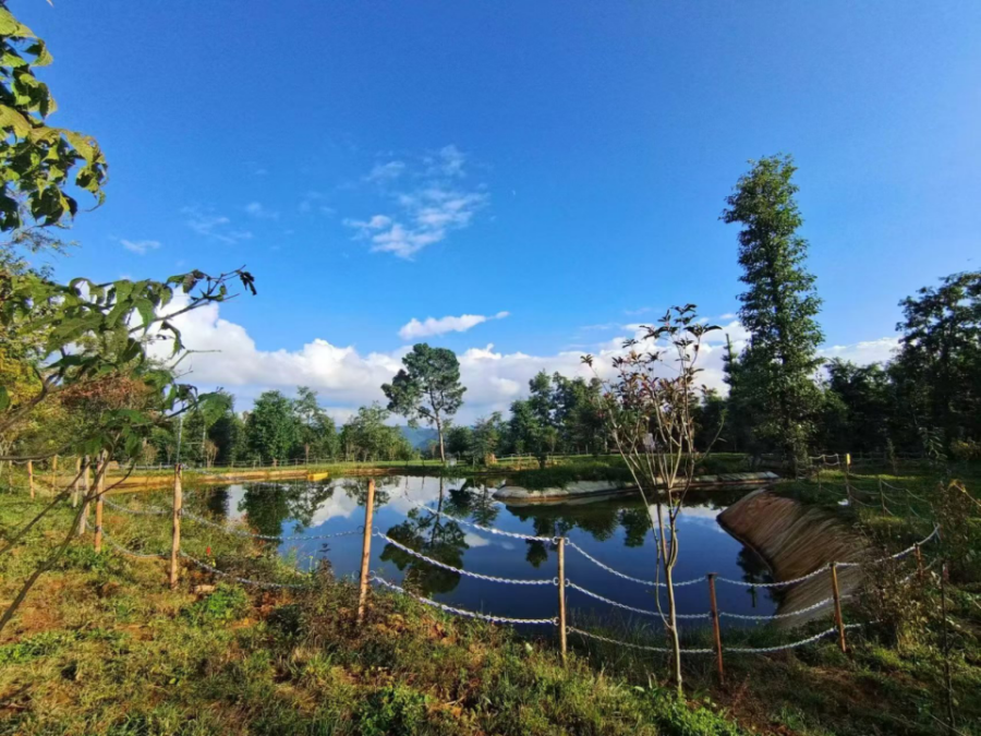 (特价)昆明市西山区团结街道办事处白眉社区妥睦居民小组4处林权共1030.44亩（包过户税费）