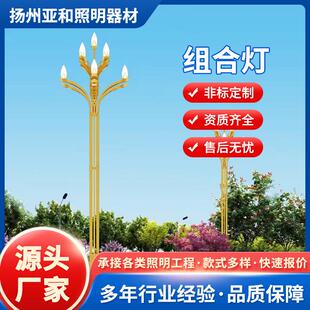 城市主干道景观亮化中华灯10米12米路灯市政道路照明工程玉兰灯