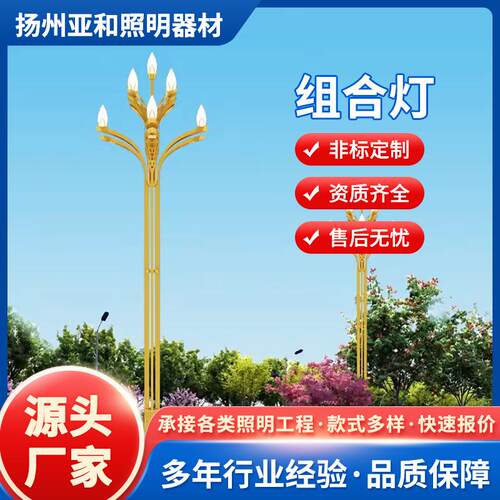 城市主干道景观亮化中华灯10米12米路灯市政道路照明工程玉兰灯