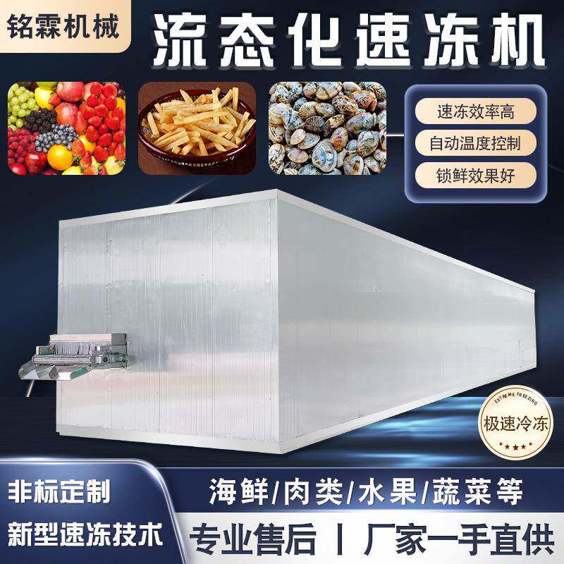 大型黄桃隧道式流态化速冻机荔枝全自动速冻设备超低温榴莲冷冻