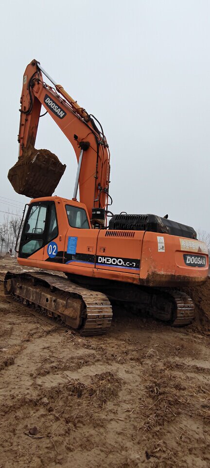 3月7日邢台[资产处置]斗山300挖掘机网络拍卖公告