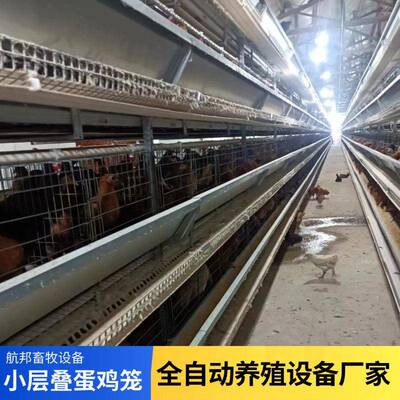 供应全自动小层叠蛋鸡笼厂家热镀锌自动清粪喂料捡蛋养鸡设备定制