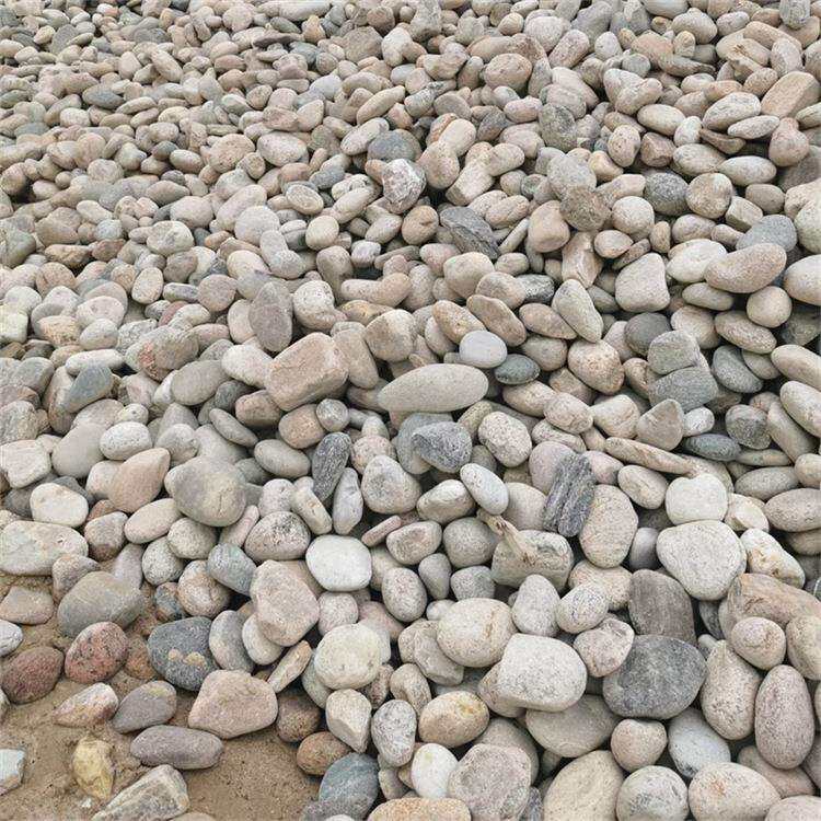 卵鹅石315河卵石程鱼池垫底工铺路造林景园庭院装饰鹅卵石