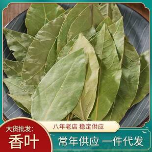 纯青香叶月桂叶 桂叶 桂皮八角干姜胡椒香叶各类香料香叶
