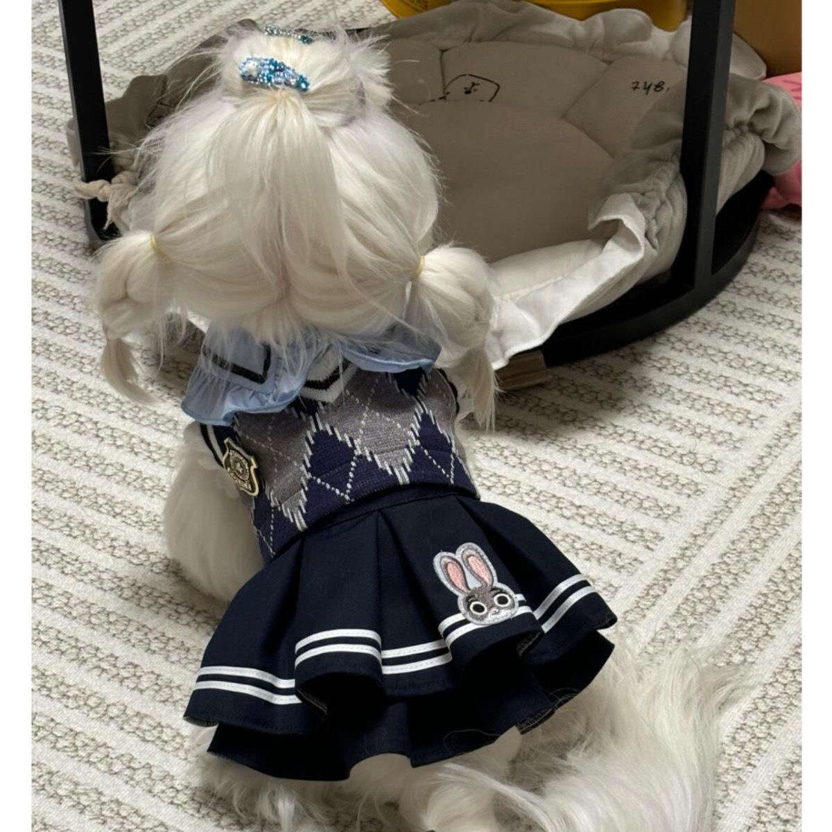 宠物衣服狗狗马尔济斯比熊泰迪博美雪纳瑞小狗小型犬猫秋冬装