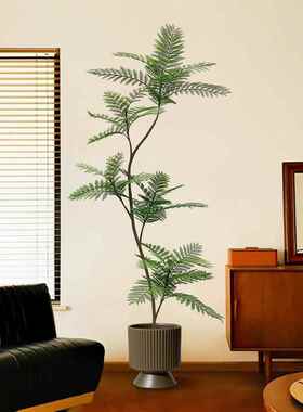 绿地植蓝花楹室内厅装花饰仿生AL101888假植物落盆客栽树