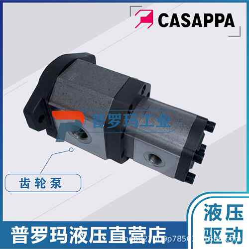 凯斯帕双联齿轮泵PLP30.43-04S5-LOG/OF/20.16-LOD/OC D/FSL油泵