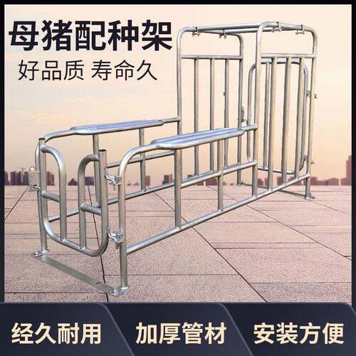 母猪配种架升降猪用配种栏矮脚配种器热镀锌落地配种架采精支架
